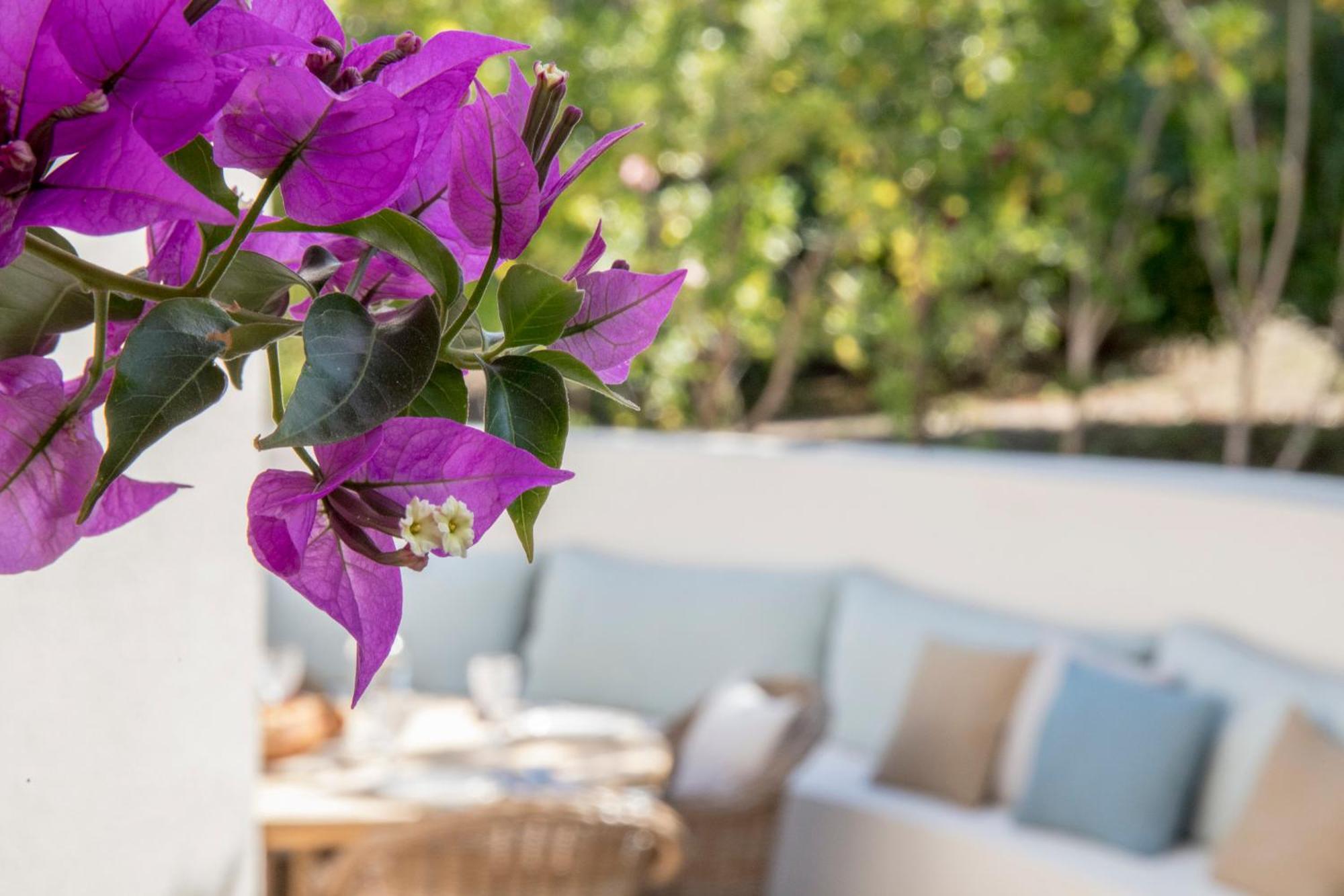 Boutique Hotel Chateau Rouher Проприано Экстерьер фото